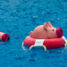 piggy bank floating in sea in rubber ring